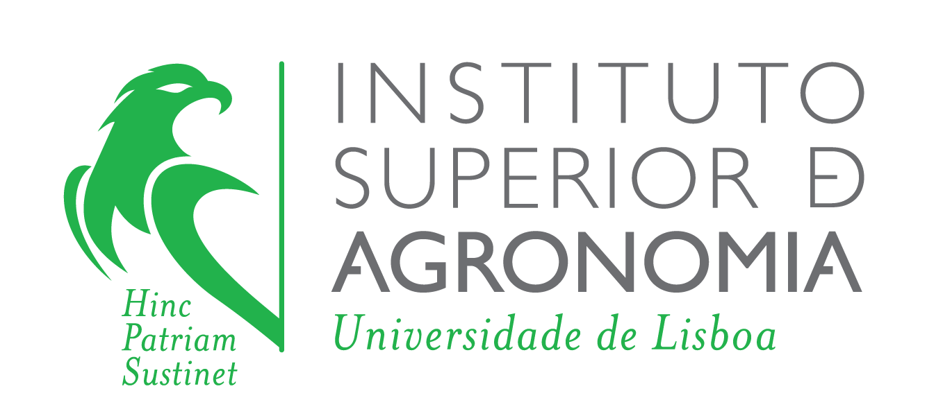 Parceiro 3